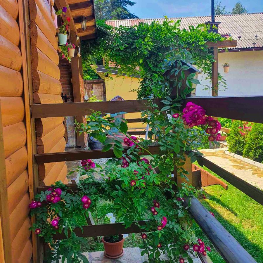 Apartment Little Paradise 비소코 외부 사진