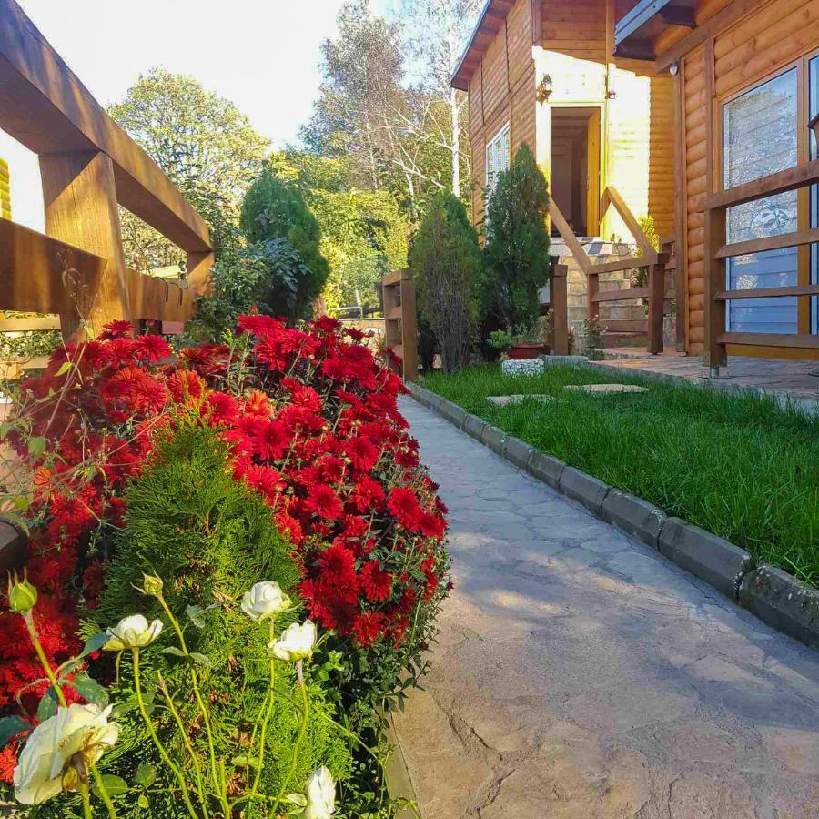 Apartment Little Paradise 비소코 외부 사진